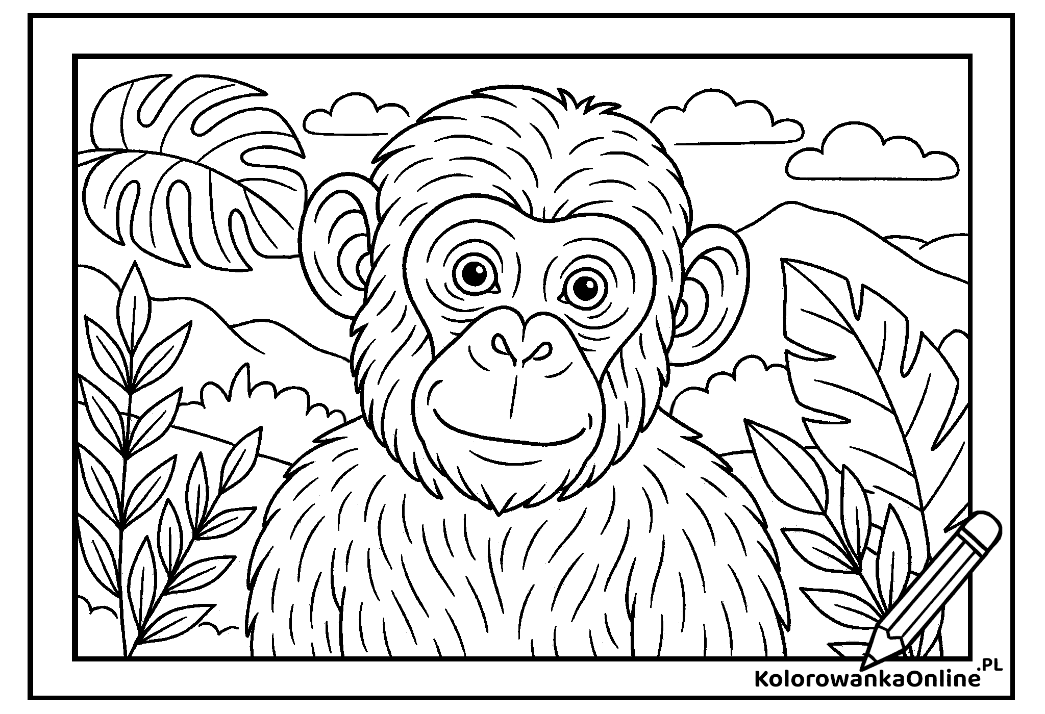 Kolorowanka Zwierz ta Kolorowanki Online Maluj Pobieraj I Drukuj 