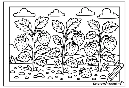 Kolorowanka online Krzaczki truskawek
