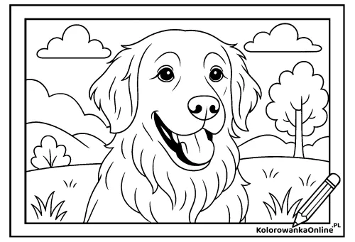 Kolorowanka online Golden retriever