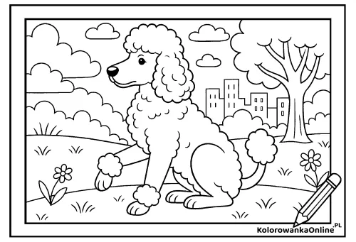 Kolorowanka online Pudel królewski w parku