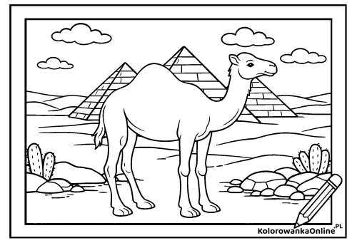Kolorowanka online Dromader