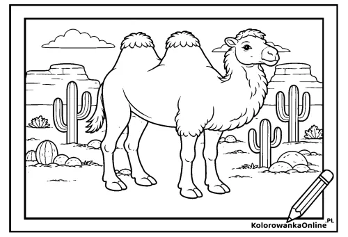 Kolorowanka online Baktrian