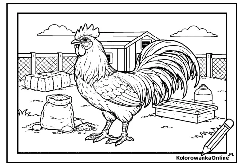 Kolorowanka online Kogut