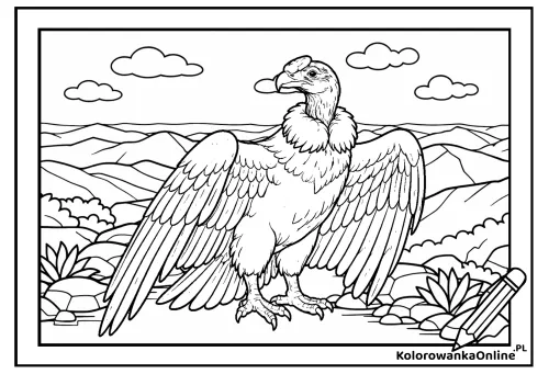 Kolorowanka online Kondor