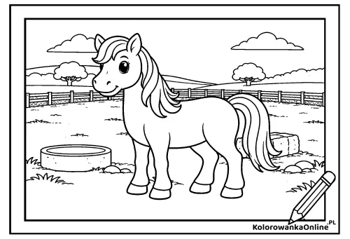 Kolorowanka online Kucyk