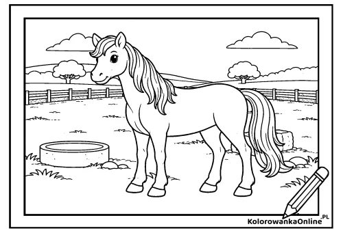 Kolorowanka online Konik