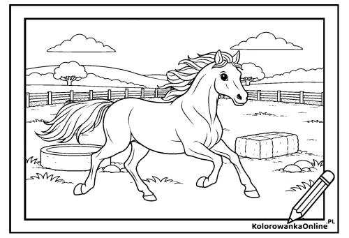 Kolorowanka online Koń w galopie